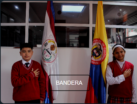 Bandera Institucional